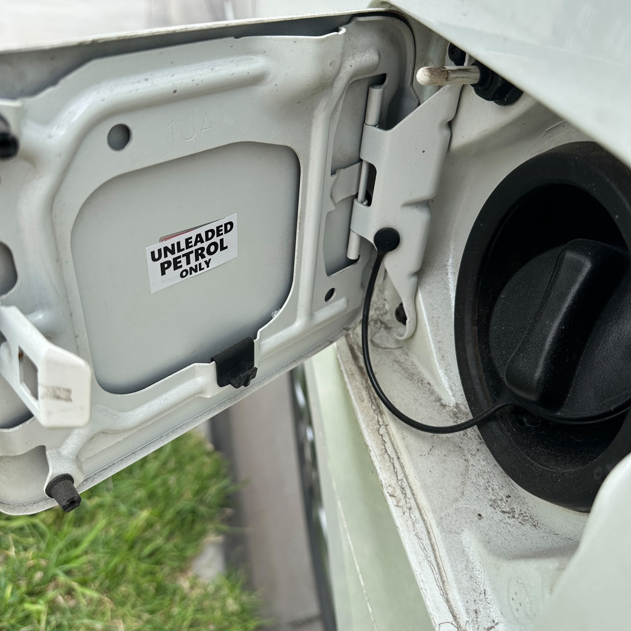 2010 NISSAN ELGRAND_2FP9NG_10